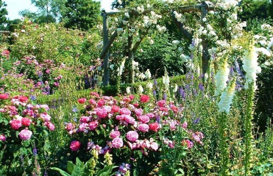 Top 5 Gardens you must visit in UK